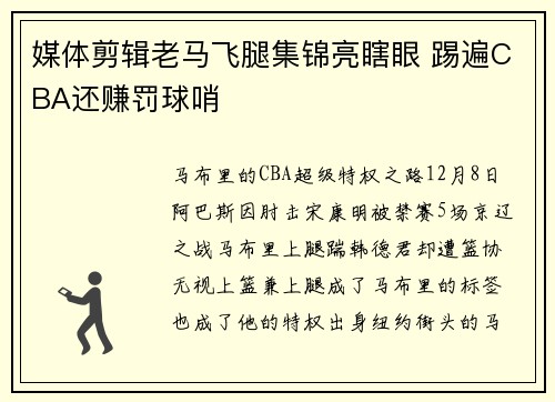 媒体剪辑老马飞腿集锦亮瞎眼 踢遍CBA还赚罚球哨